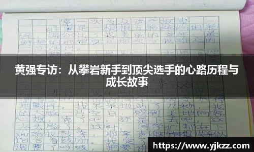 bsports官网入口