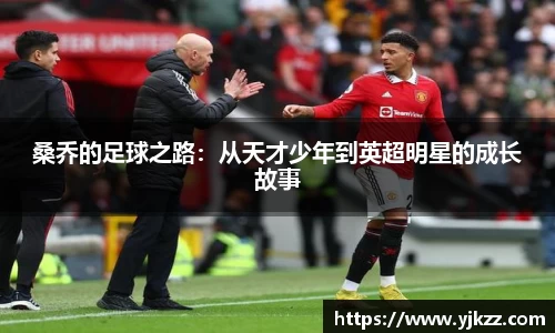 bsports登录入口
