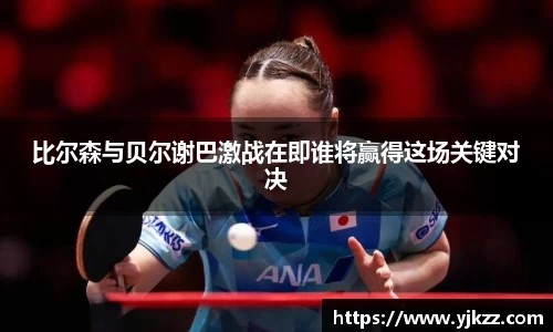 bsports登录入口