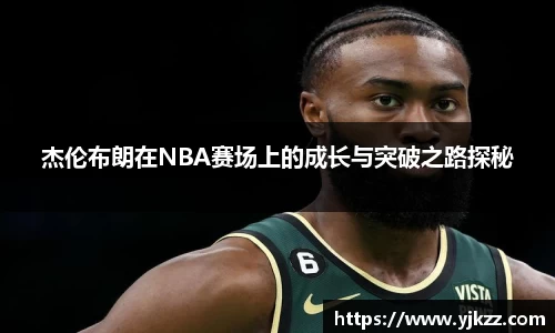 bsports登录入口