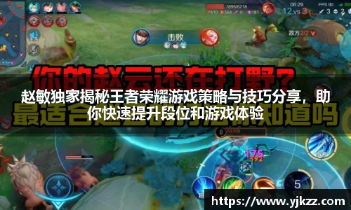 bsports登录入口